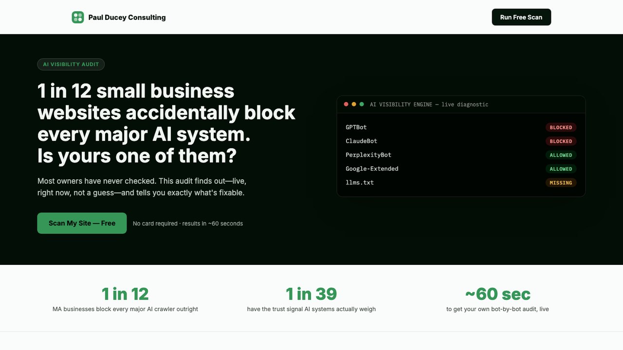 AI Visibility Audit report